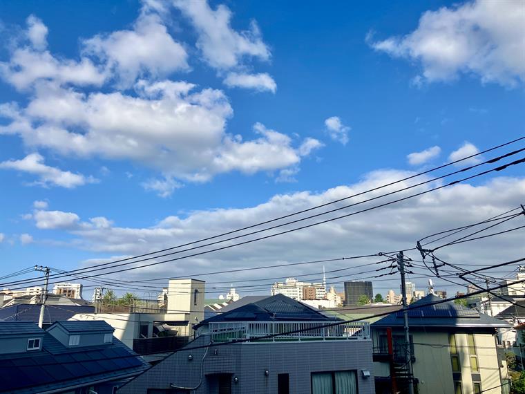 ヴィラロイヤル文京西片 その他8