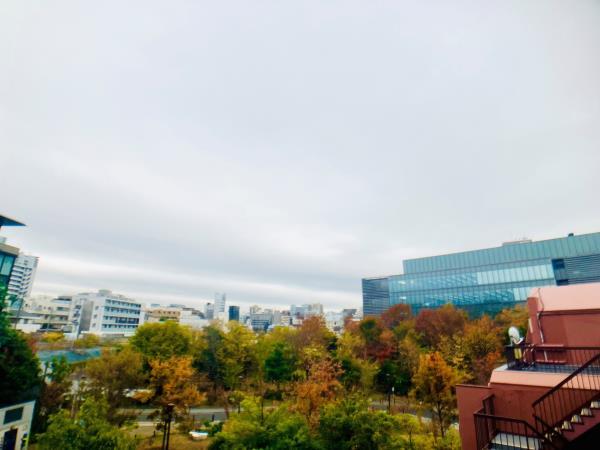 グランマルジュ市ヶ谷 その他8