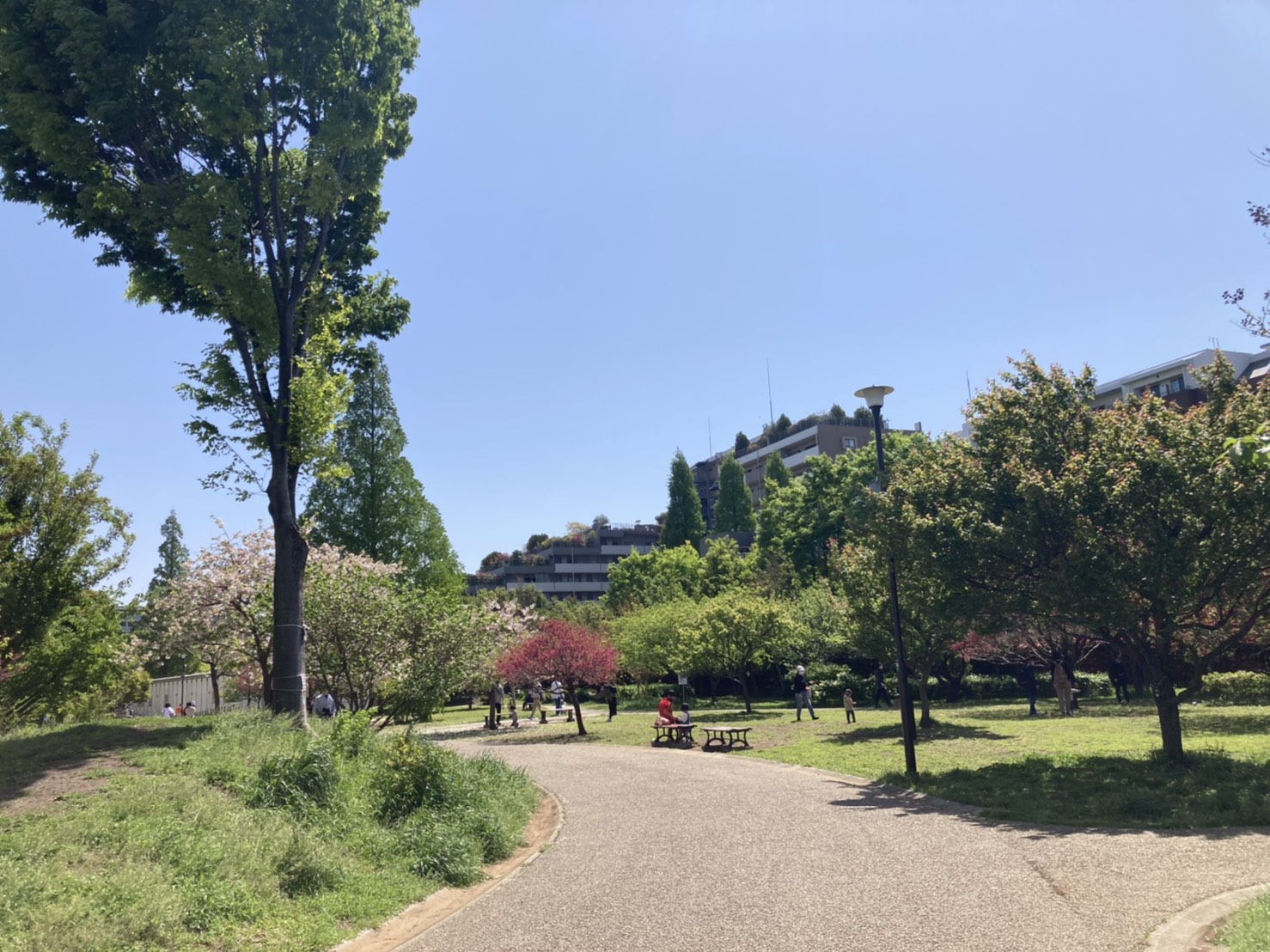 クローバー今川 周辺画像6