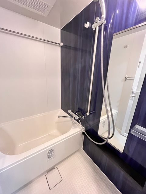 レジディア三軒茶屋Ⅲ 風呂画像