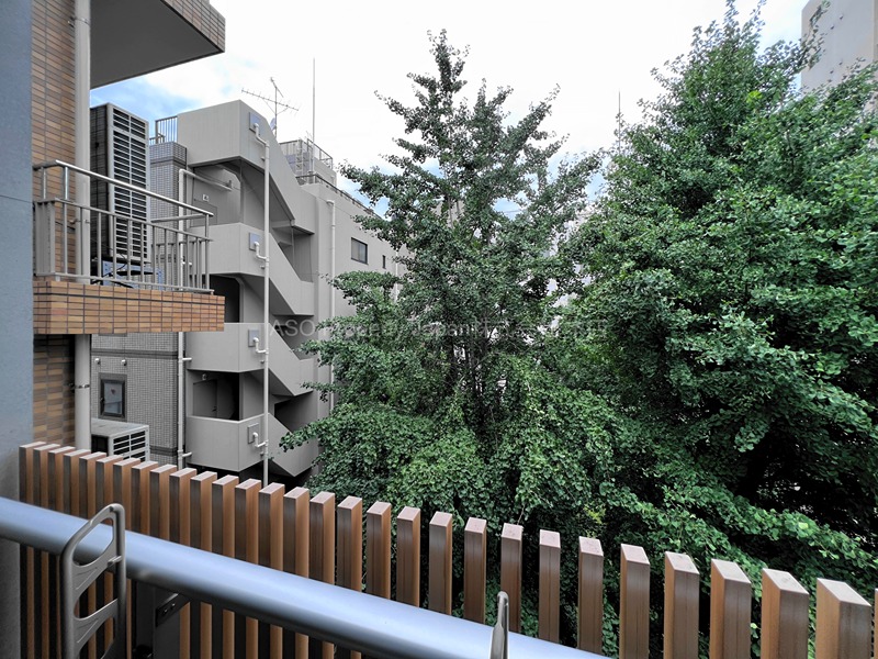 Cypress Onarimon その他8