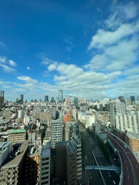 白金ザ・スカイ東棟 その他6