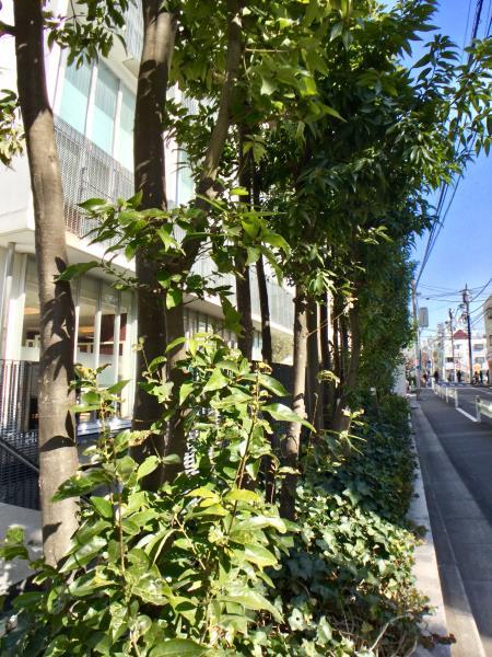 ＳＳ－Ｄ その他21