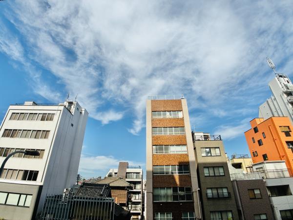 シティハイツ根津 その他7