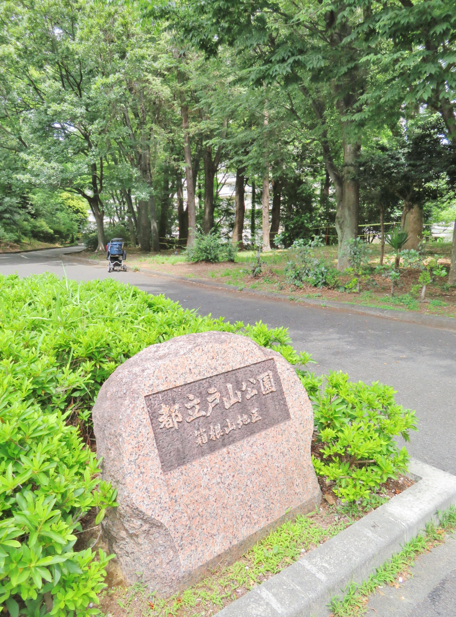 アムール戸山 周辺画像6