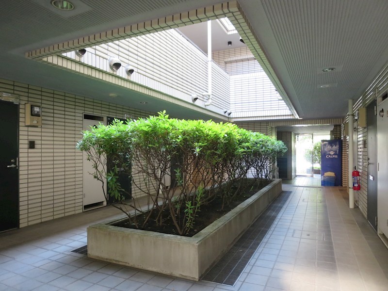 エンジェルス守屋 その他6