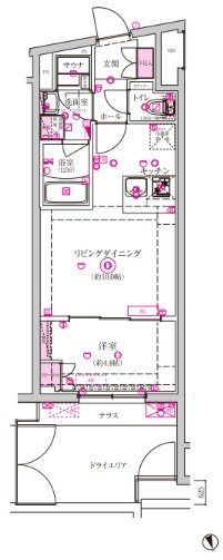 ベルシードステアー西早稲田 間取り図