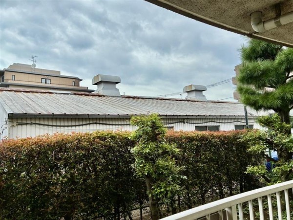 第一ハウス崔綜 その他6