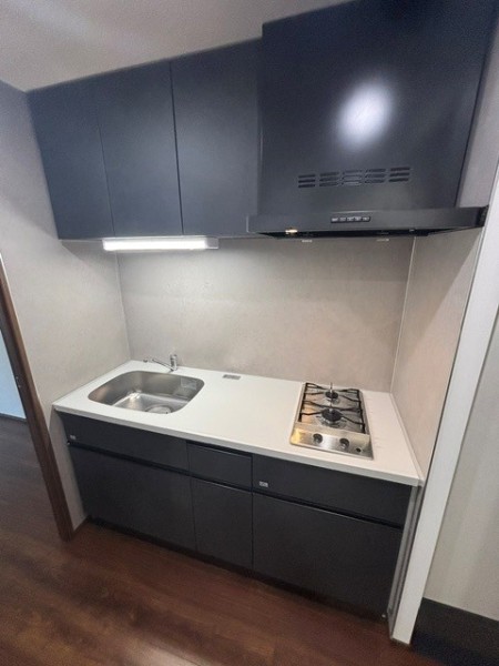 Ｔｈｅ　Ｓｈｉｎａｇａｗａ　Ｅａｓｔ　Ｒｅｓｉｄｅｎｃｅ キッチン