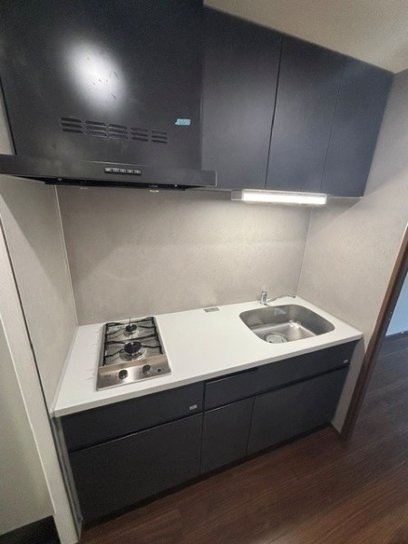 Ｔｈｅ　Ｓｈｉｎａｇａｗａ　Ｅａｓｔ　Ｒｅｓｉｄｅｎｃｅ キッチン