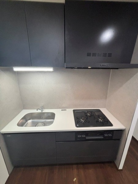 Ｔｈｅ　Ｓｈｉｎａｇａｗａ　Ｅａｓｔ　Ｒｅｓｉｄｅｎｃｅ キッチン