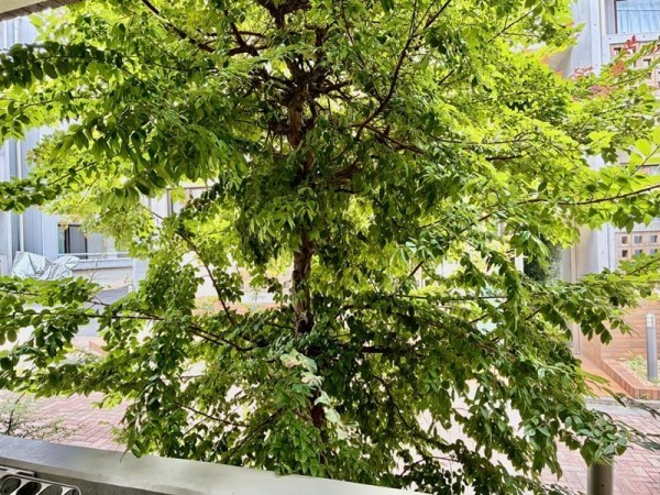 ＷＥＬＬ　Ｈｏｕｓｅ　東大井 その他6