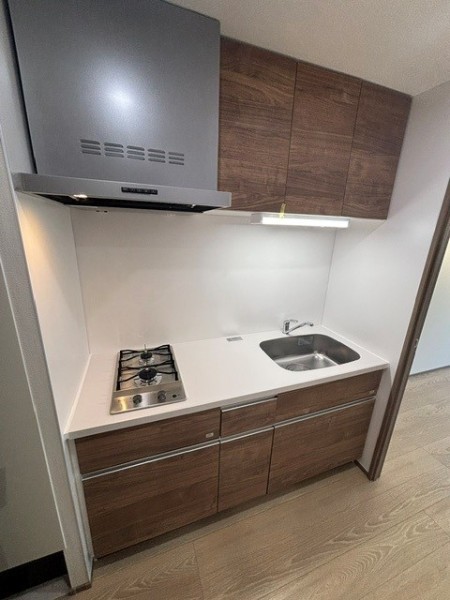Ｔｈｅ　Ｓｈｉｎａｇａｗａ　Ｅａｓｔ　Ｒｅｓｉｄｅｎｃｅ キッチン