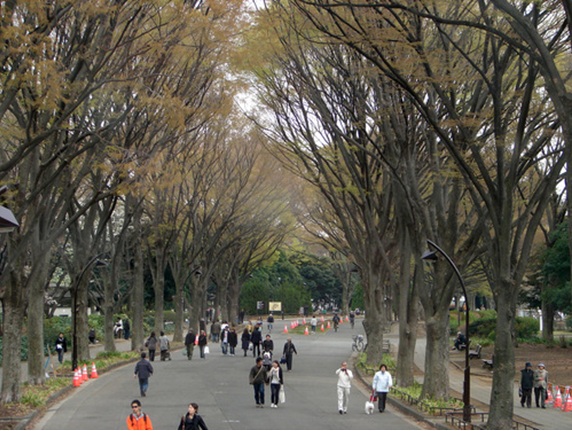 WISTERIA KOMAZAWA 公園
