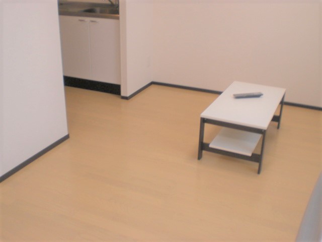 レオネクストエトワール要町 リビング