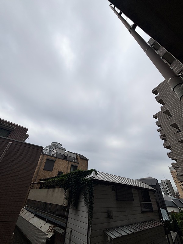グラマシー恵比寿 眺望