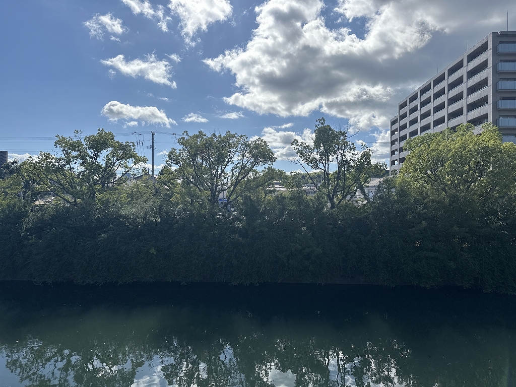 マンション岡 その他16