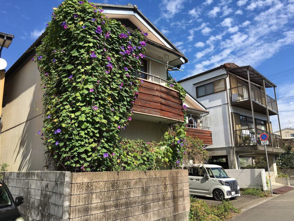 青洋荘 その他2