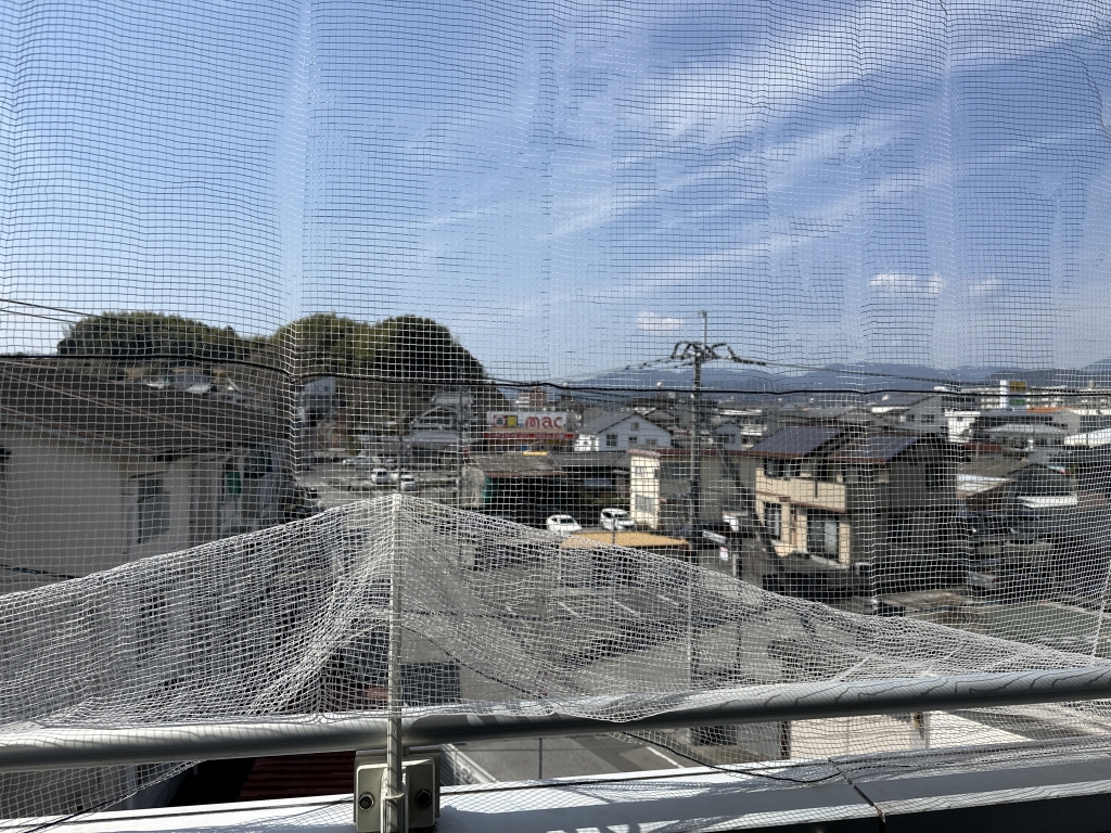 パパドポーラスター その他24