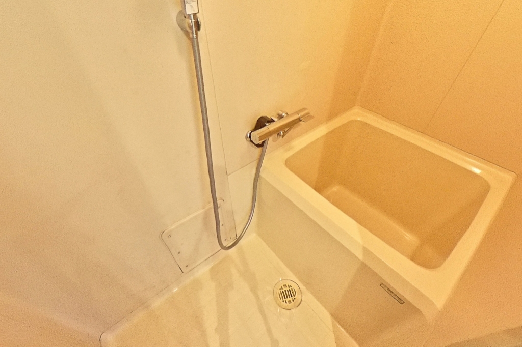 ハイツルネッサ楠 その他4