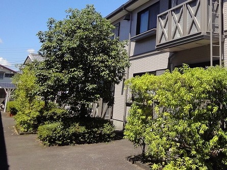 寿ハイツ　Ｂ棟 その他27