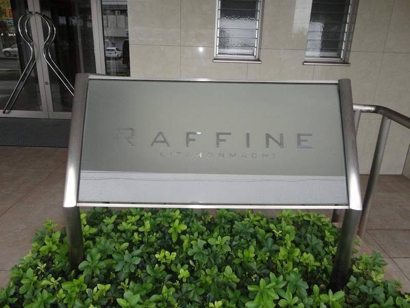 Ｒａｆｆｉｎｅ その他27