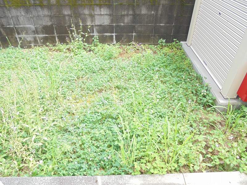 ミニミニ中久万 その他9