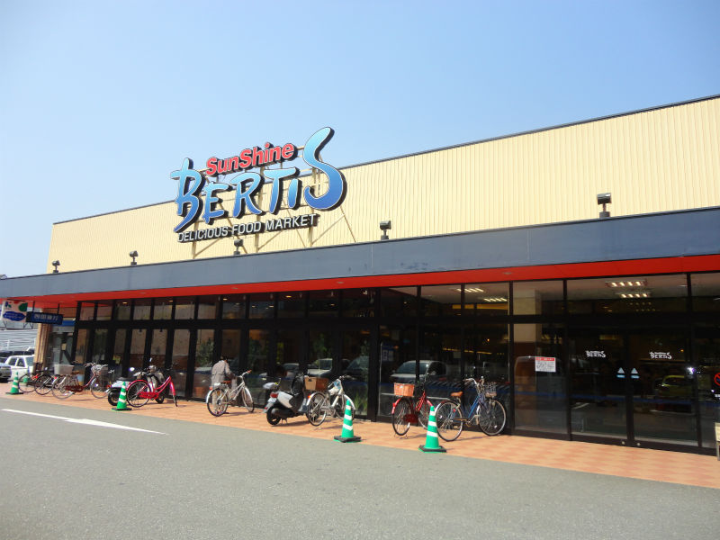 ロイヤル・レジデンス秦 その他8