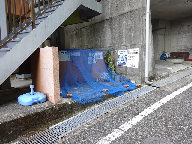 ヴェルデ・Ｎ その他17