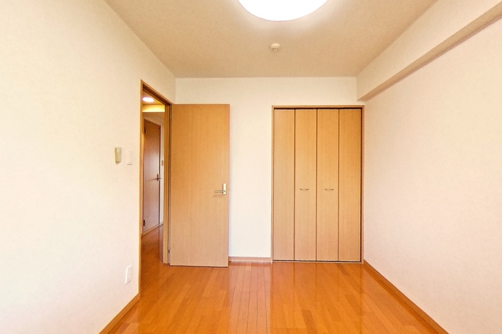Ｒａｆｆｉｎｅ その他20