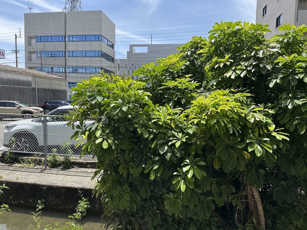 武田マンション（北本町） その他28