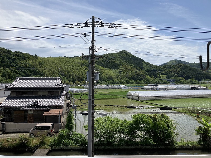 ＳＩＮＡＪＹＵＲＩＭＥ・ＧＲＥＥＮ その他22