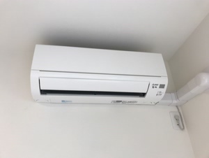 ベレオ　クスノセ その他16