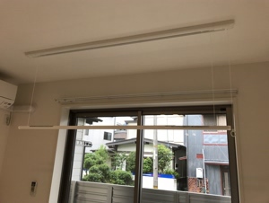 ベレオ　クスノセ その他24