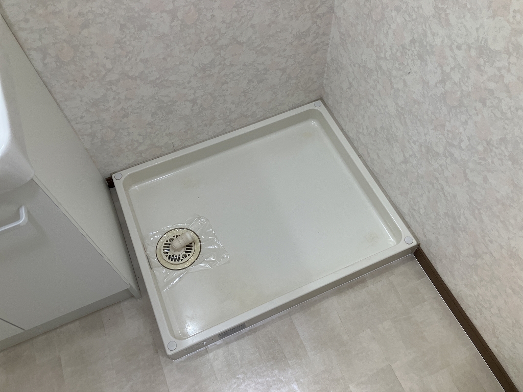 パパドポーラスター その他19