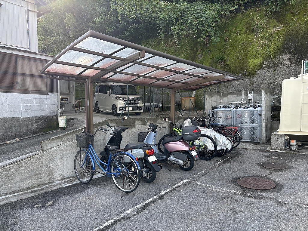 パパドポーラスター その他26