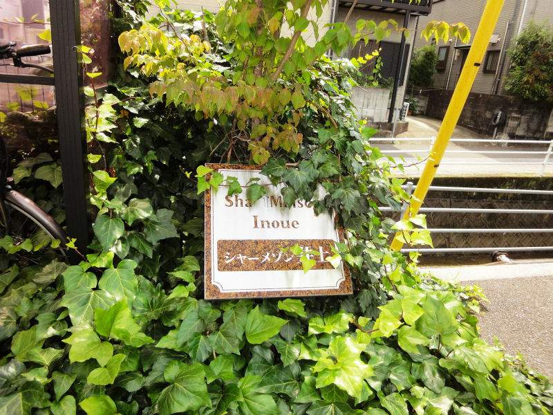 シャーメゾン井上 その他27