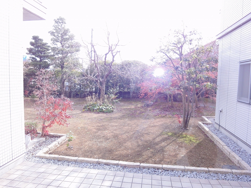 ミラドール その他24