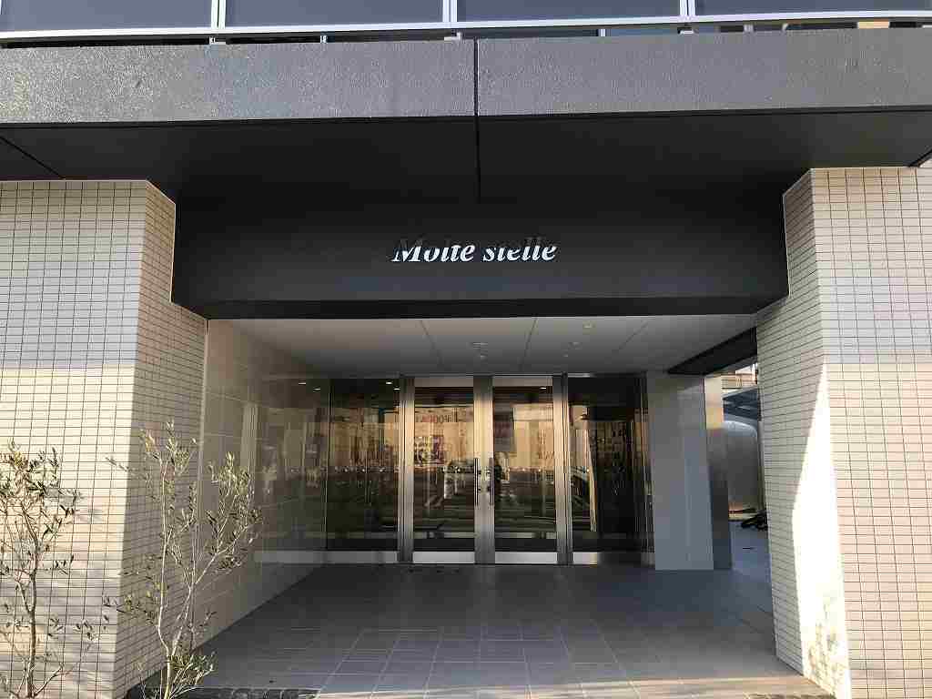 Ｍｏｌｔｅ　Ｓｔｅｌｌｅ その他27