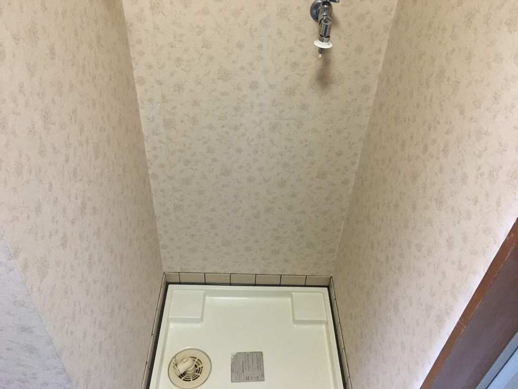 アドヴァンス６１０ その他15