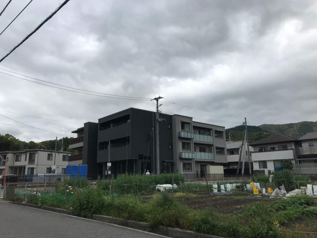 ＢＥＲＥＯ　ＨＡＲＥ その他2