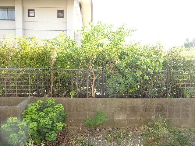 ＥＤマンション その他28
