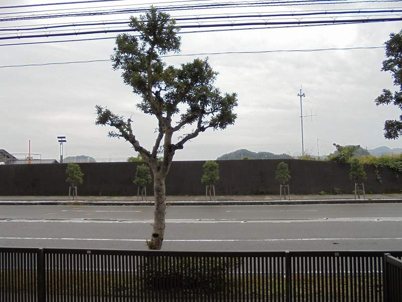 ベイサイドパレス横浜 その他27