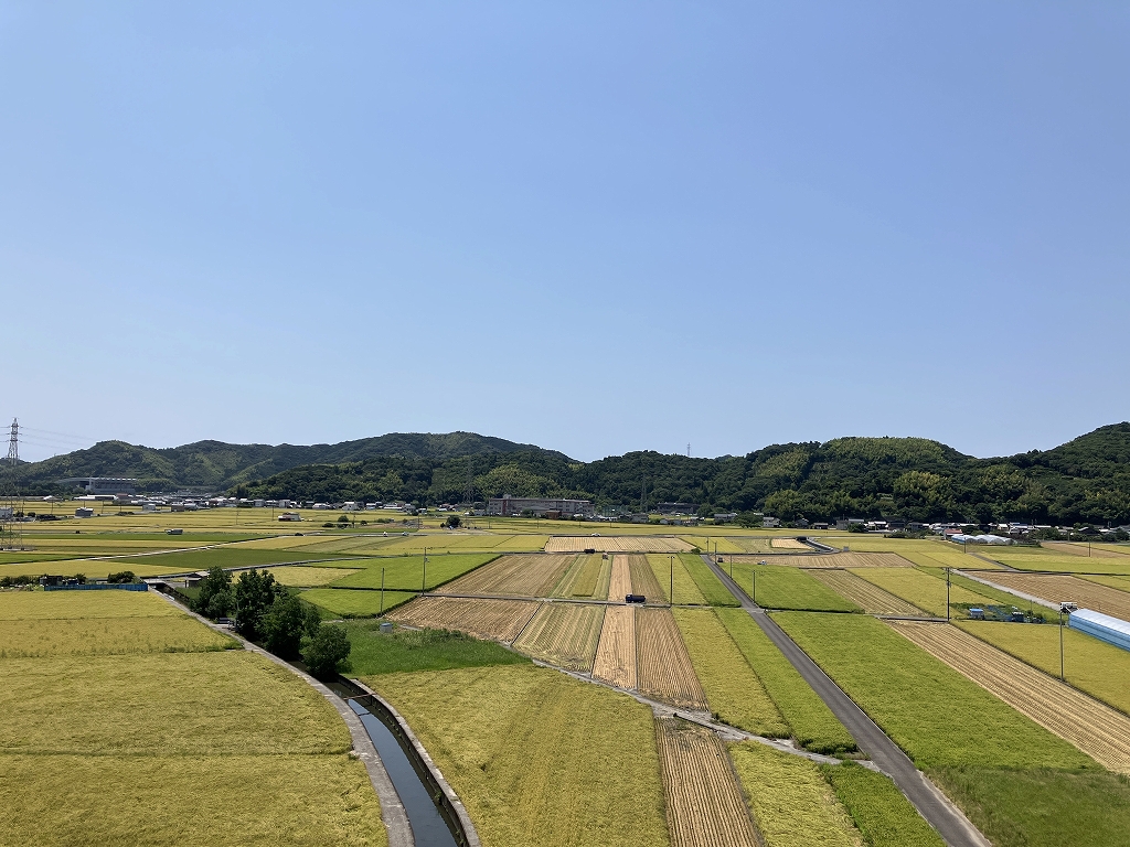 みつばちレジデンス その他28
