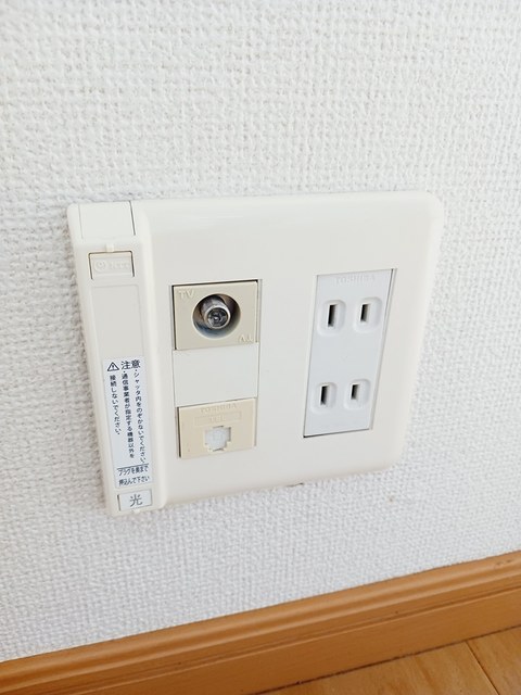 スイートピー その他2