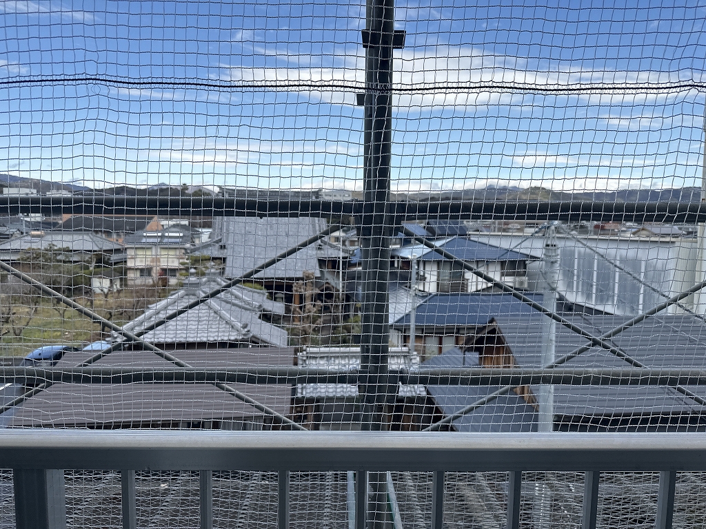 アゼリア３０ その他28