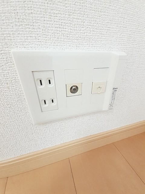 ブラウェ　フェーゲル その他2