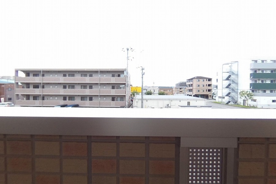 アムール その他28