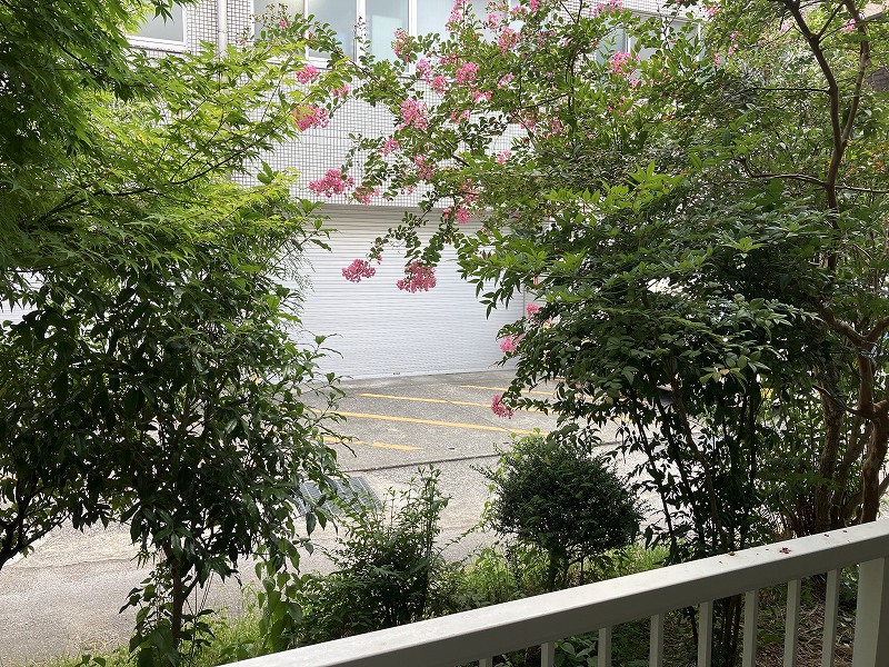 パークベル その他23