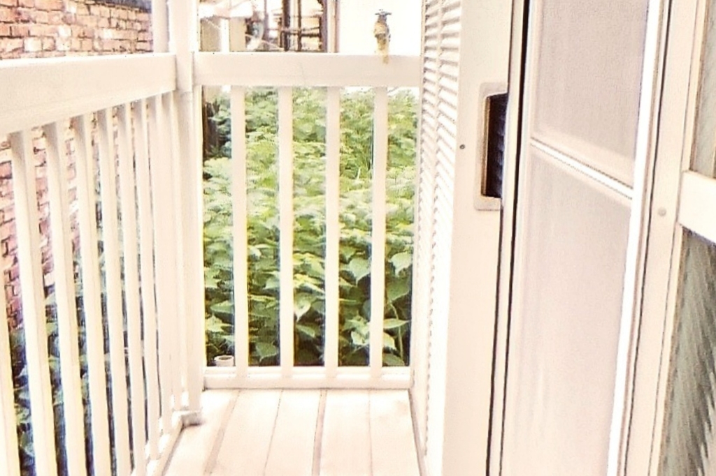 ハウス朝日Ⅰ その他11